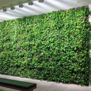 Green Walls