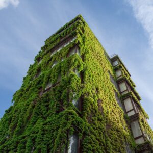 Vertical Forest