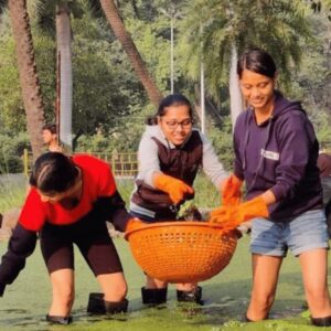 Ecological Restoration of Water Bodies